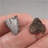 Image 3 : 2 Meteorites from Oka Quebec