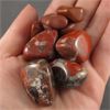 Image 2 : Lot of Polished Red Jasper Specimens