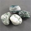 Image 2 : Lot of 4 Polished Tree Agate Specimens