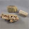 Image 1 : Fossil Crinoid Stems and 2 Petrified Wood Specimens 