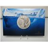 Image 1 : 2012 CANADIAN  .9999 SILVER $20 MINT COIN - POLAR BEAR with Folder
