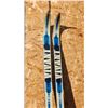 Image 3 : Vintage Cross Country Skis