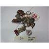 Image 1 : provincial key chains