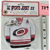 Image 1 : New Mini NHL Carolina Hurricanes zippered credit card / money pouch/ chain