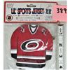 Image 2 : New Mini NHL Carolina Hurricanes zippered credit card / money pouch/ chain
