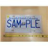 Image 1 : Beautiful British Columbia sample license plate