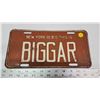Image 1 : "New York is big this is Biggar" license plate