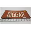 Image 2 : "New York is big this is Biggar" license plate