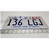 Image 2 : Ski, Utah license plate - 136-LGJ