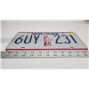 Image 3 : New York license plate - 6UY-231