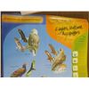 Image 2 : eagles, vulture and accipiters of Saskatchewan poster - 32"x22"