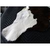 Image 3 : Small Tanned Hide (32 x 30) Calf