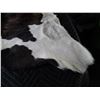 Image 4 : Small Tanned Hide (32 x 30) Calf