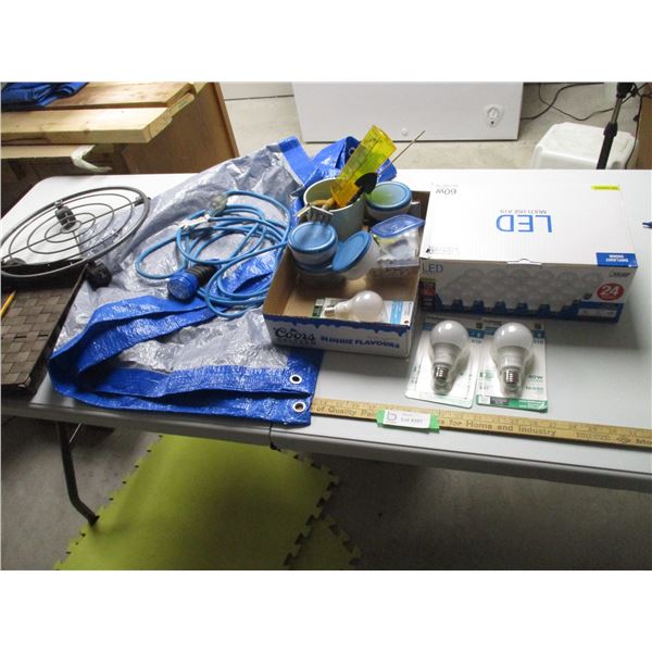 Light Bulbs, Cords, Small Tarp, Misc.