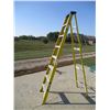 Image 1 : 8' Construction Ladder
