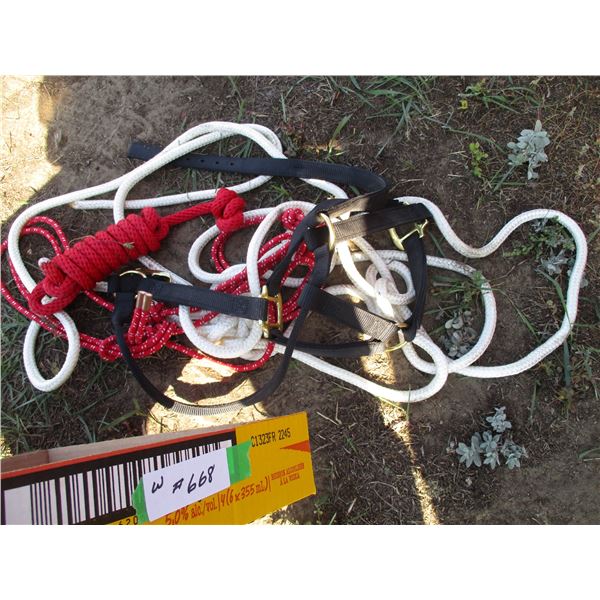 Nylon Rope with Halters