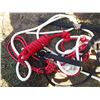 Image 2 : Nylon Rope with Halters