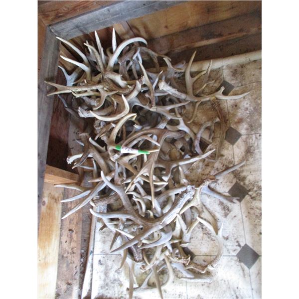 Deer Sheds