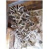 Image 1 : Deer Sheds