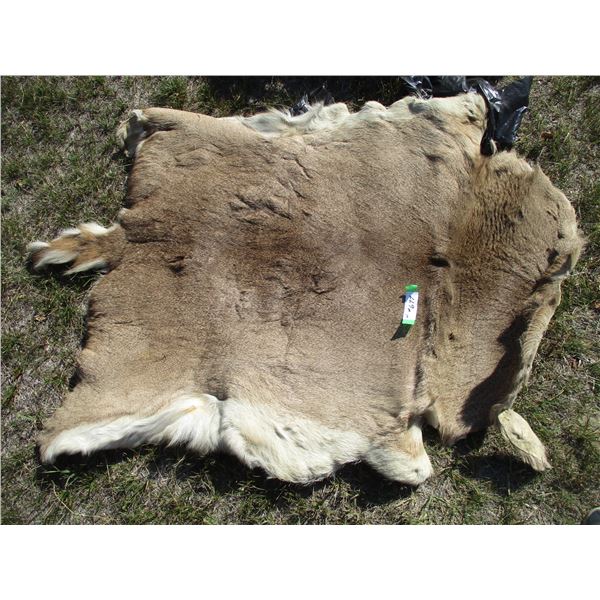 Tanged Deer Skin