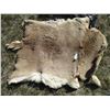 Image 1 : Tanged Deer Skin