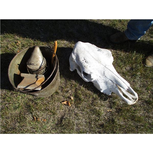 Buffalo Skull Pair, Bee Smoker