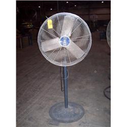 Pedastal Fan