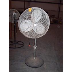 Pedastal Fan
