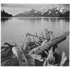 Image 1 : Adams - Jackson Lake in Grand Teton Wyoming