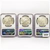 Image 2 : (3) 1922-D Peace Silver Dollars NGC MS61