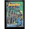 Image 1 : DC Animal Man #3 (1988)