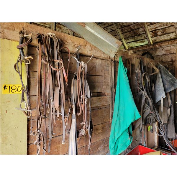 Bridles, halters, aprons (on south wall)