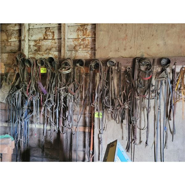 Qty of bridles, halters etc. on North Wall