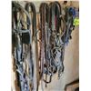 Image 7 : Qty of bridles, halters etc. on North Wall