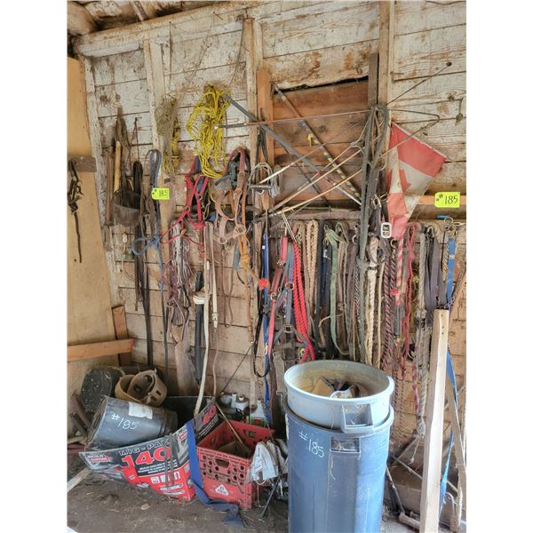 Bridles etc. on East wall