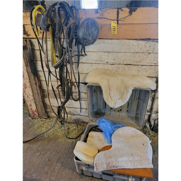 Saddle pads, harness etc.