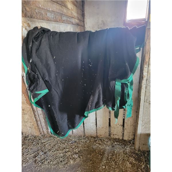 1- Horse blanket