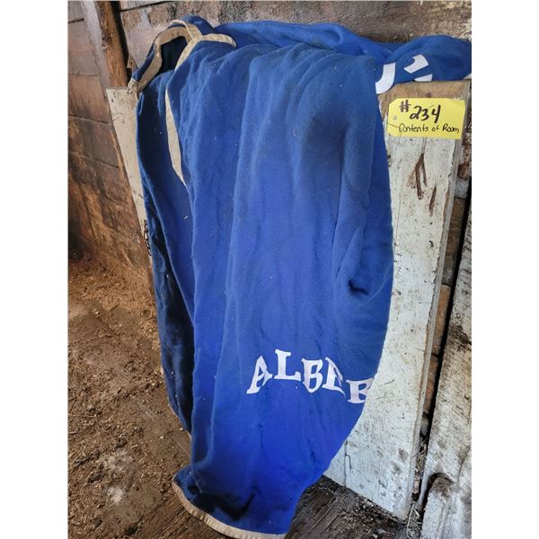 Contents of room, including blankets