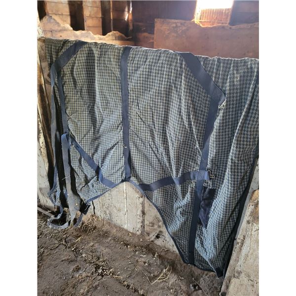 Horse blankets