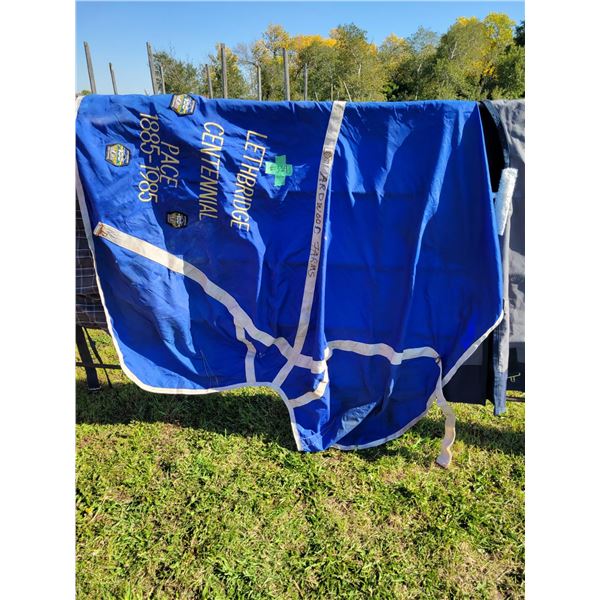 Blue 'Lethbridge Centennial' Horse blanket