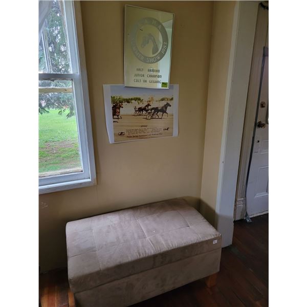 Storage ottoman c/w contents, mirror pic and poster