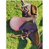 Image 1 : English Saddle
