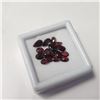 Image 2 : Garnet(10ct) , Suggested Retail Value $200