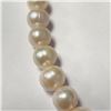 Image 2 : Silver Fresh Water Pearl 18" Necklace, Suggested Retail Value $600