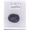 Image 2 : 16.05 Ct Oval Sapphire (Treated) Ready for Jewelry Setting