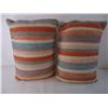 Image 2 : (2) Indoor/Outdoor Pillows