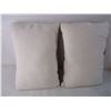 Image 3 : (2) Indoor/Outdoor Pillows