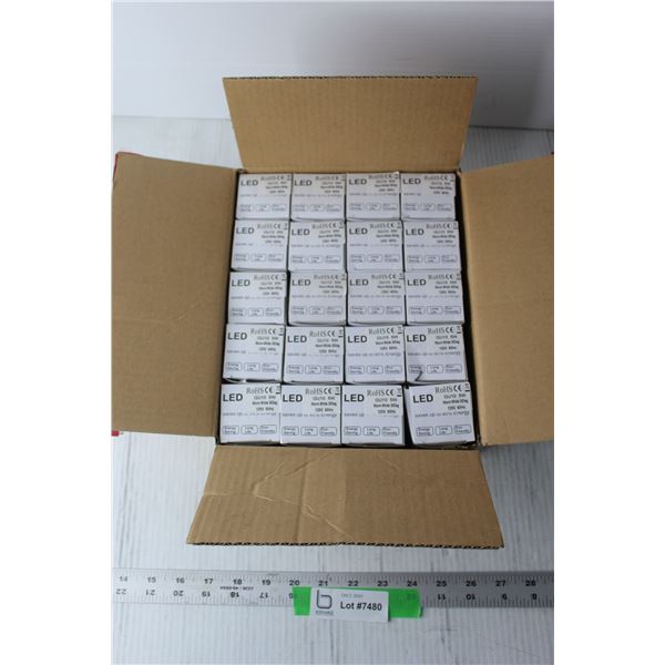 Box of 120V LED Lights