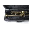 Image 3 : Trumpet in Case