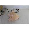 Image 2 : Seashell Lamp and Shell